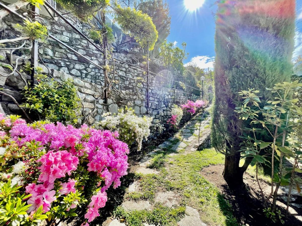 Eden Sul Lago Di Como Nesso Exterior foto